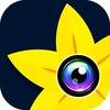 蜜桃看片播放器